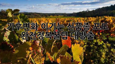 🍇기후변화 이기는 신품종 포도 완전정복!🥇꿀팁 대방출